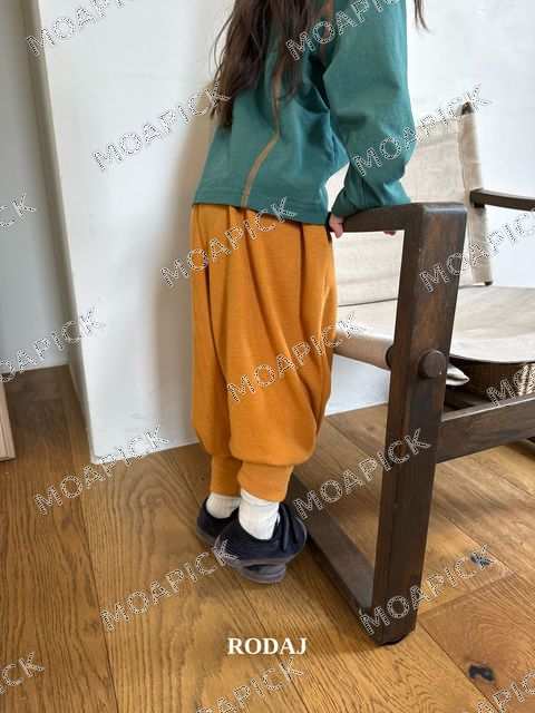 알라조거