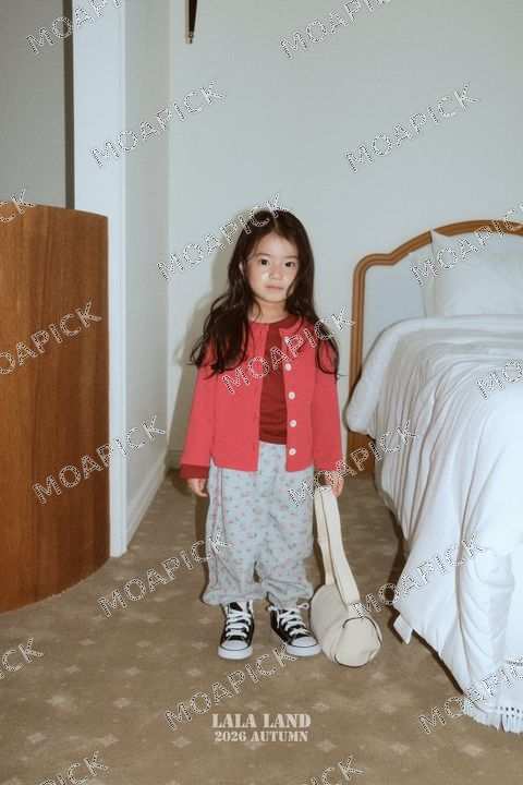 알파골지가디건