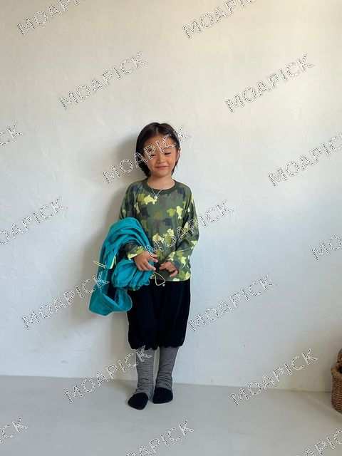 돌핀카모티
