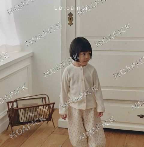 루이삼중지고쟁이