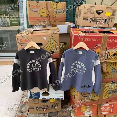 디트로이트나염티