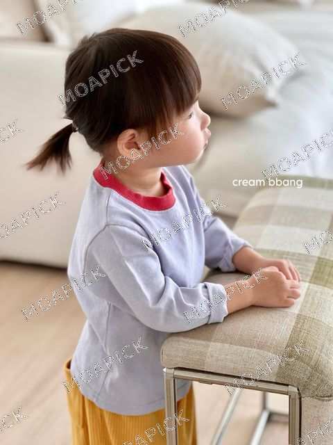 팔레트배색티