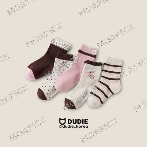CUTE5종