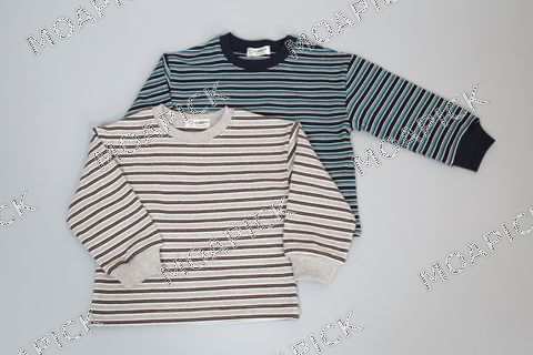 초이스트라이프티
