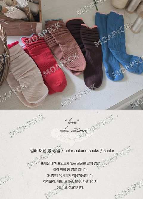 컬러어텀롱양말