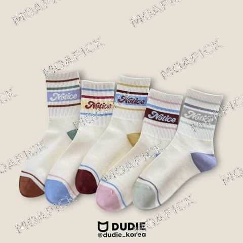 노틱5종