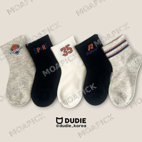 SP355종
